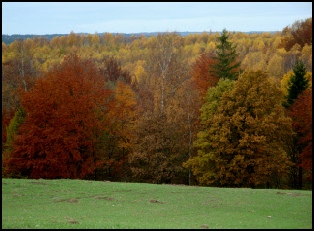 Bilder PL