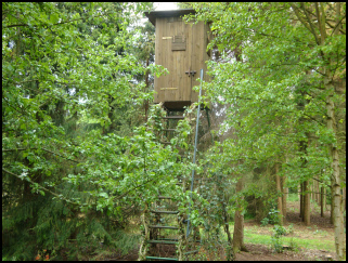 Bilder Hahnermoor